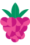 raspberry icon